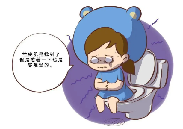 盆底康復2.png